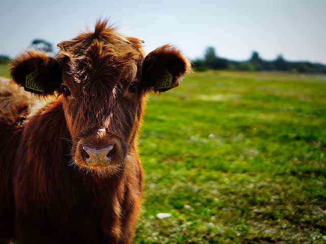TSL® Provide Mobile, Handheld RFID Solutions for Agriculture