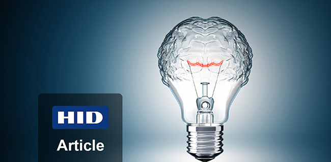 lightbulb