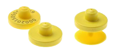 rfid-animal-tag-example