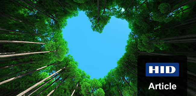 sustainability forest heart