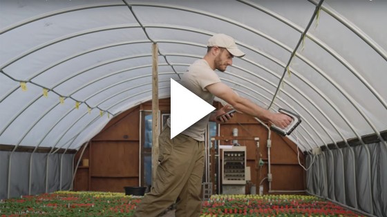 Cross Country Nurseries